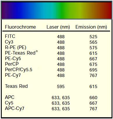 флюорохромы для проточной цитометрии